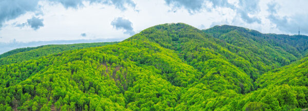 Medvednica